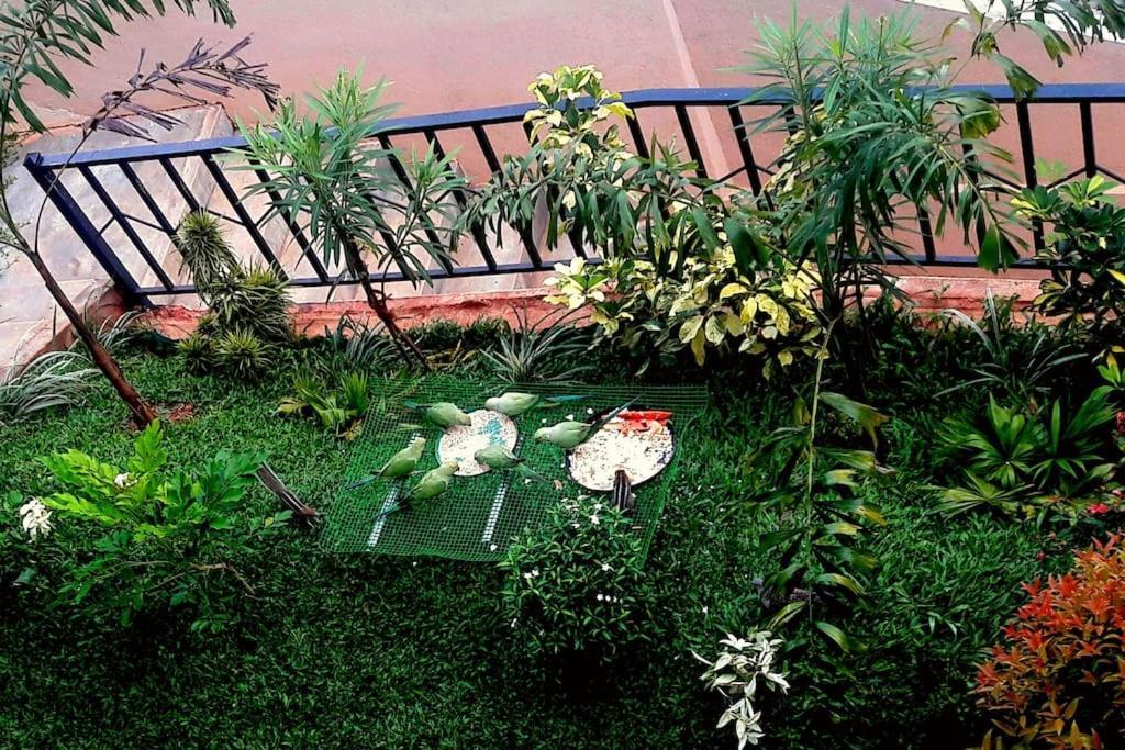 Saru Holiday Apartment - Upto 6 Guests 康提 外观 照片